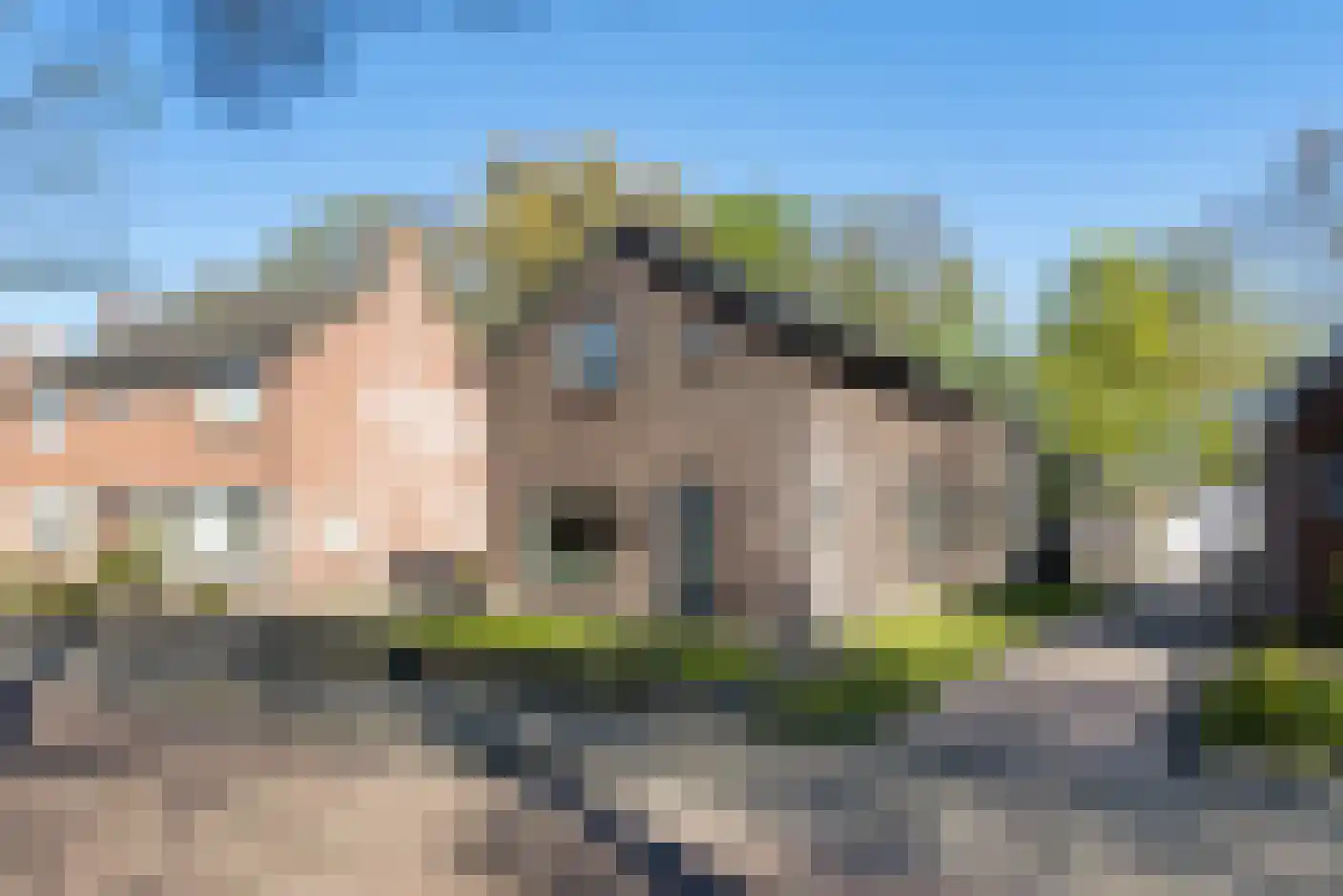 De Rusken 38 Frieschepalen