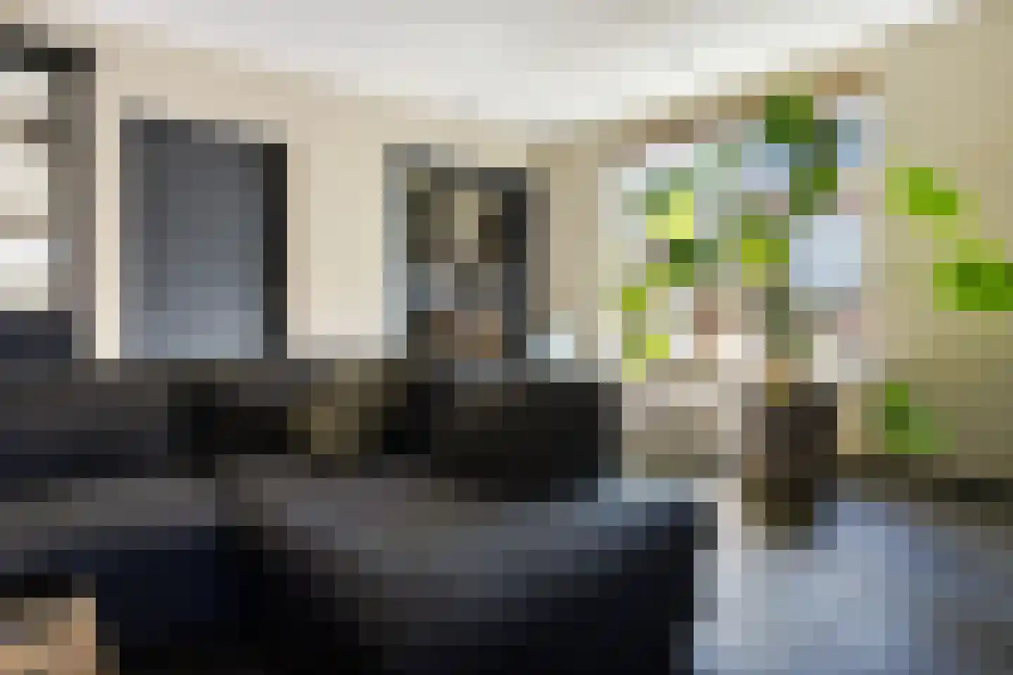 De Rusken 38 Frieschepalen thumbnail 11