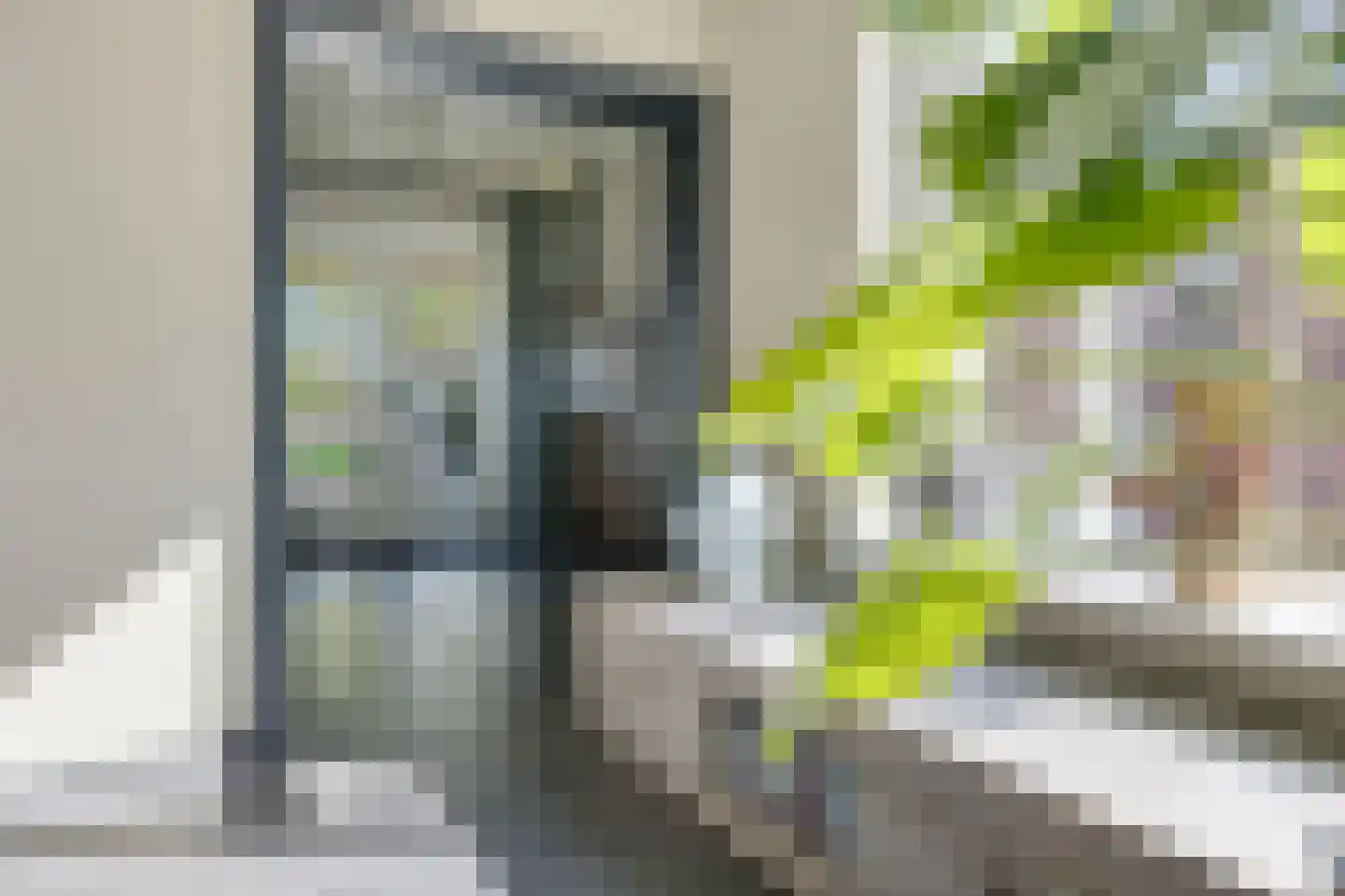 De Rusken 38 Frieschepalen thumbnail 13