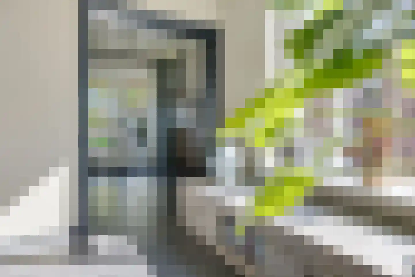 De Rusken 38 Frieschepalen thumbnail 13