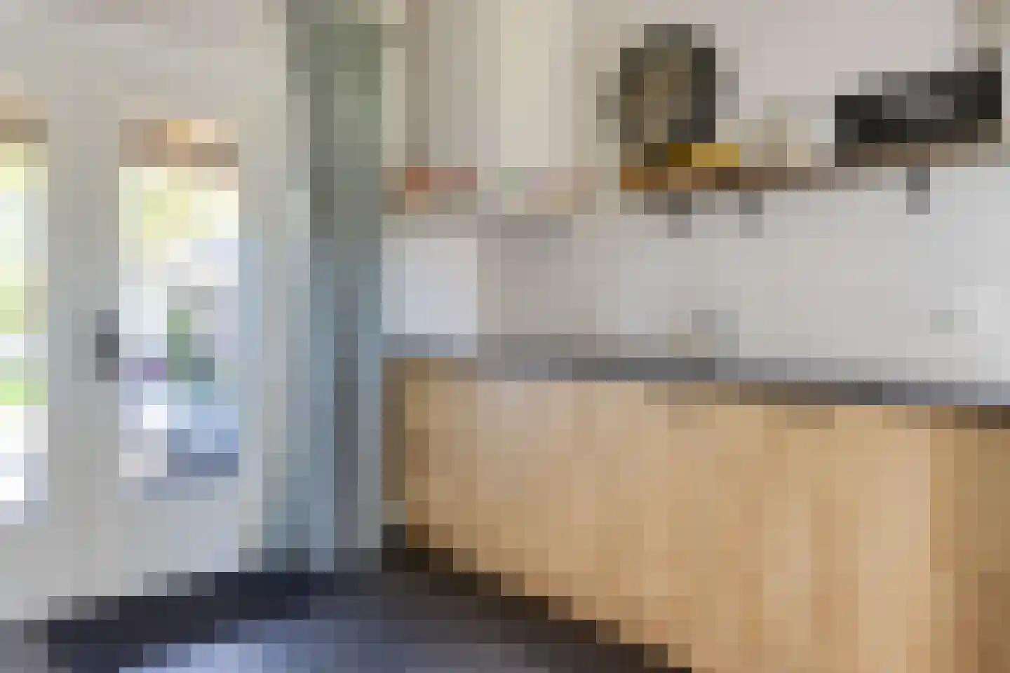 De Rusken 38 Frieschepalen thumbnail 14