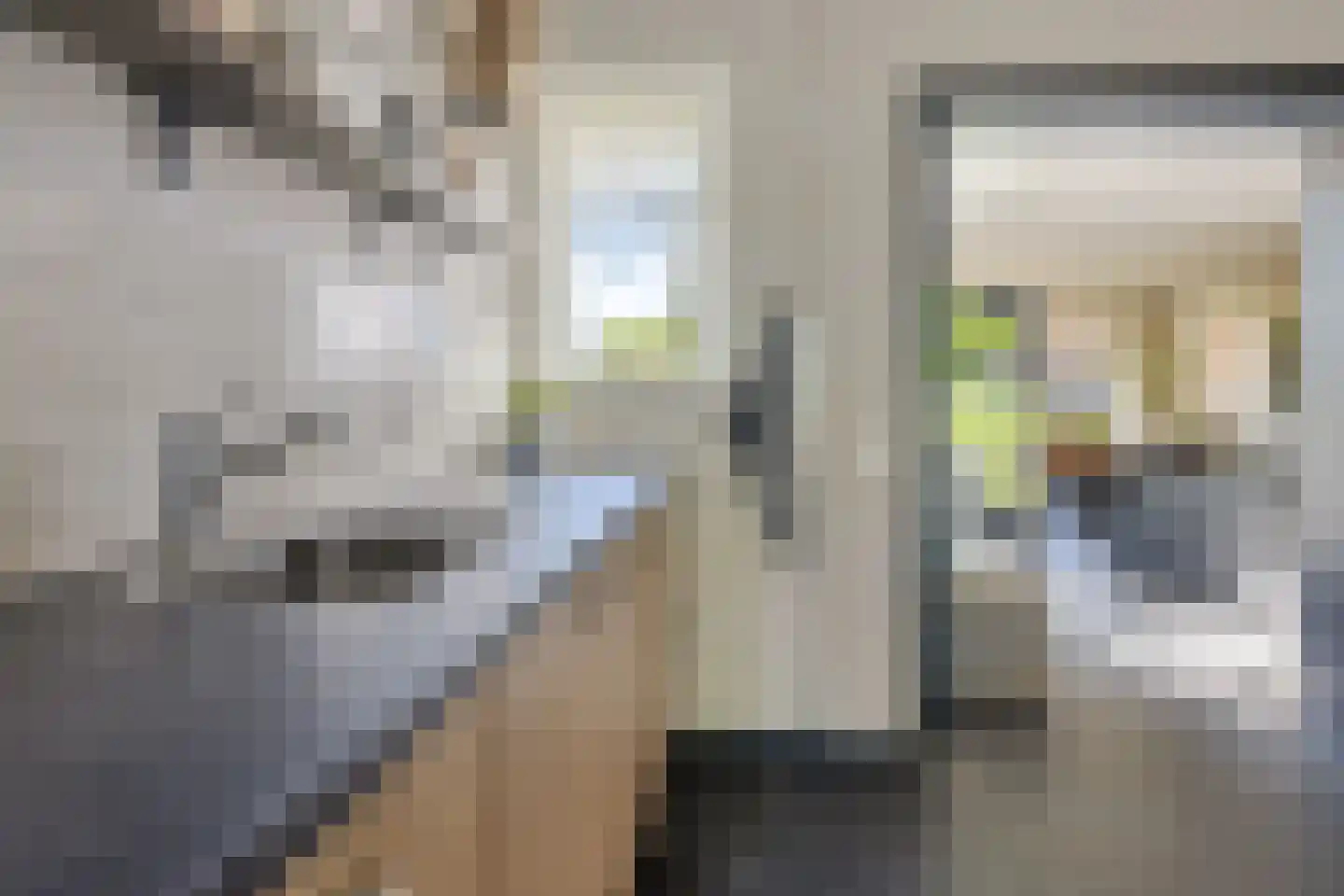 De Rusken 38 Frieschepalen thumbnail 15