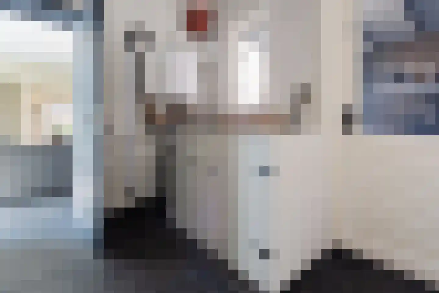 De Rusken 38 Frieschepalen thumbnail 18