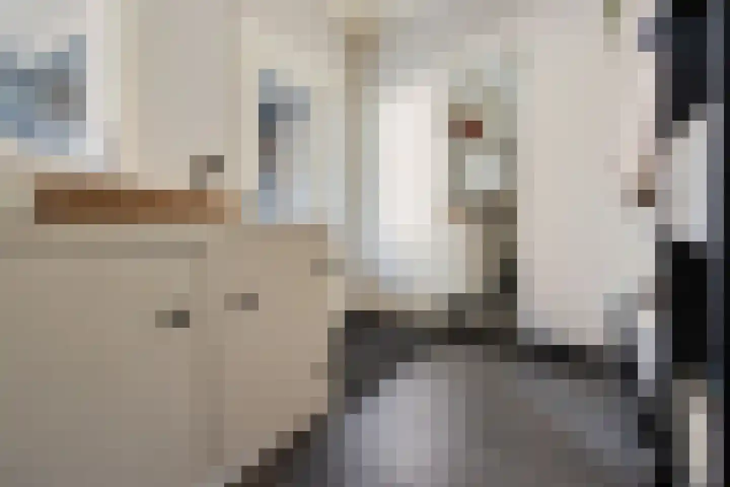 De Rusken 38 Frieschepalen thumbnail 19