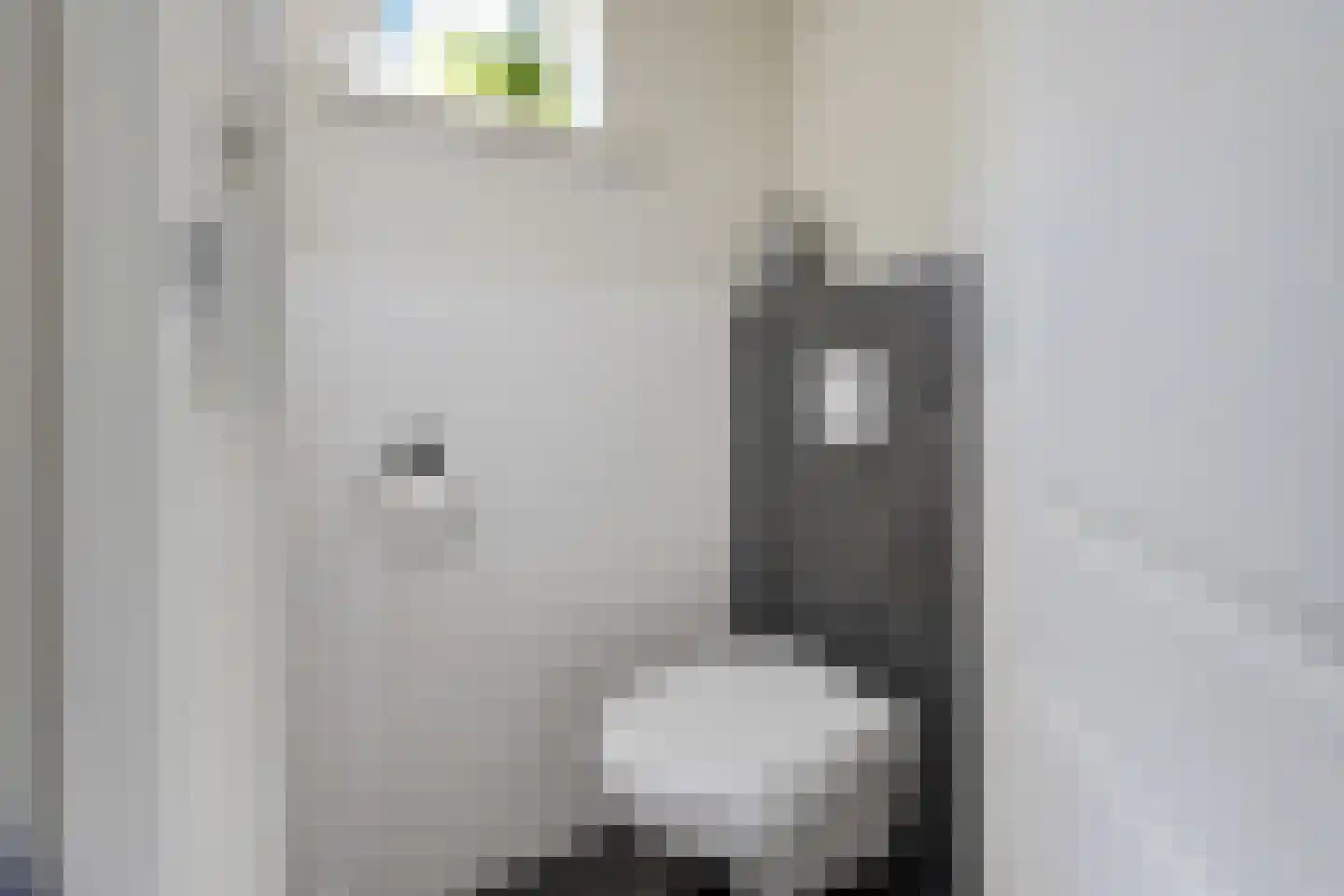 De Rusken 38 Frieschepalen thumbnail 20