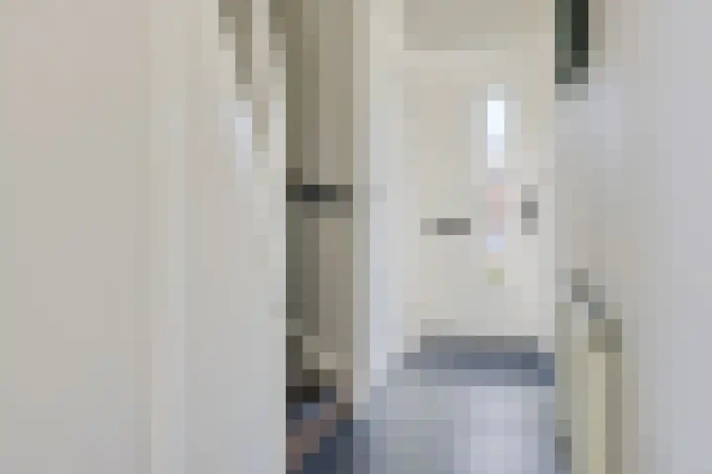 De Rusken 38 Frieschepalen thumbnail 21