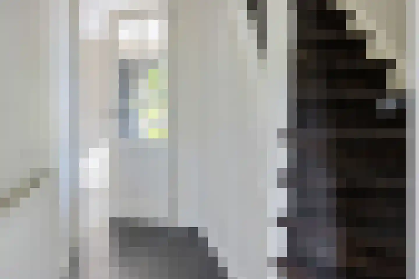 De Rusken 38 Frieschepalen thumbnail 22