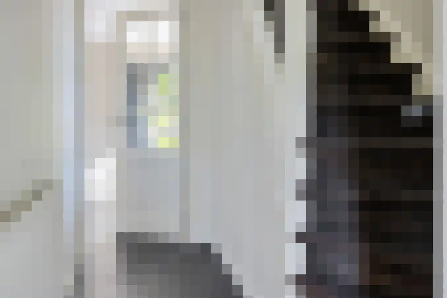 De Rusken 38 Frieschepalen thumbnail 22