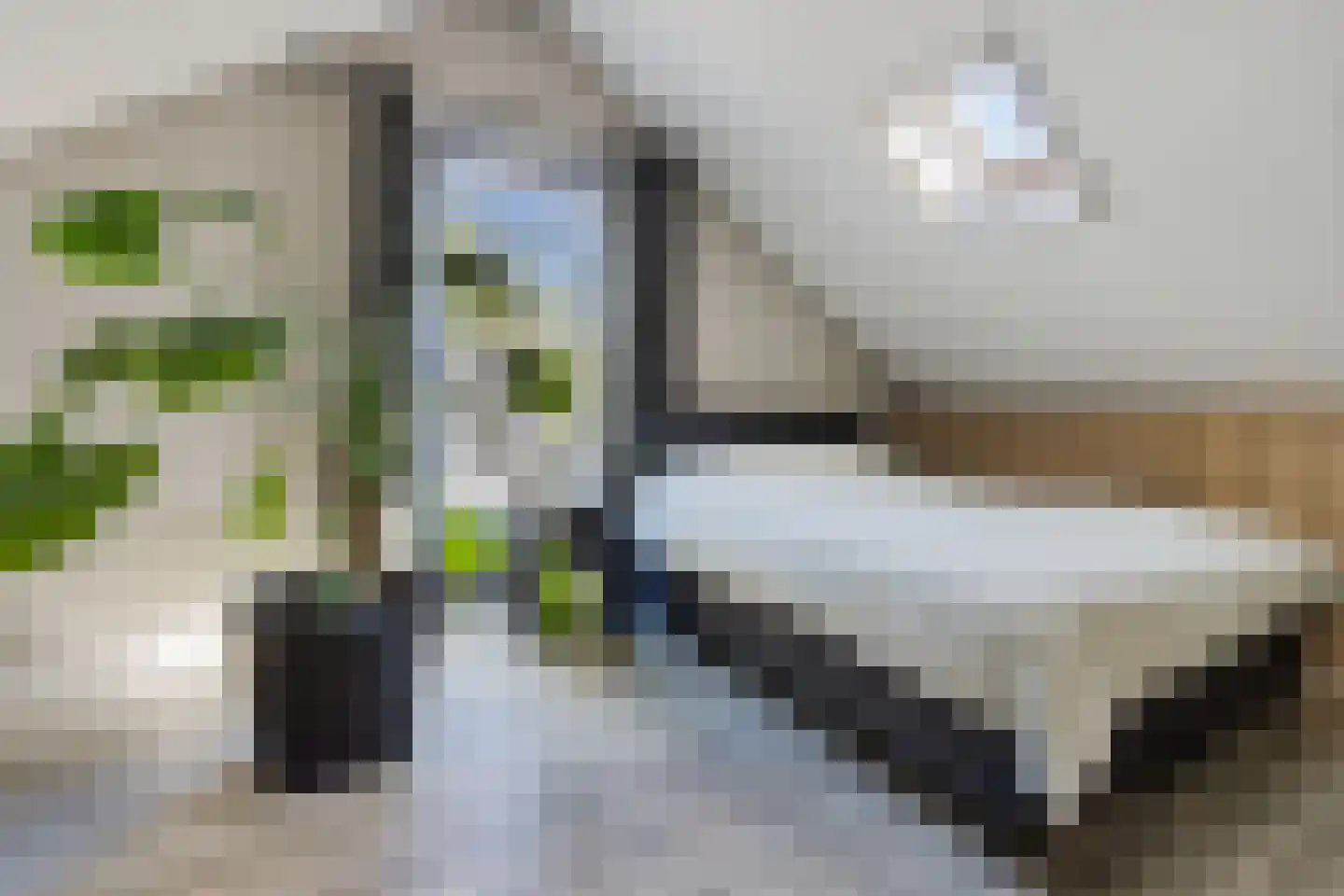 De Rusken 38 Frieschepalen thumbnail 24