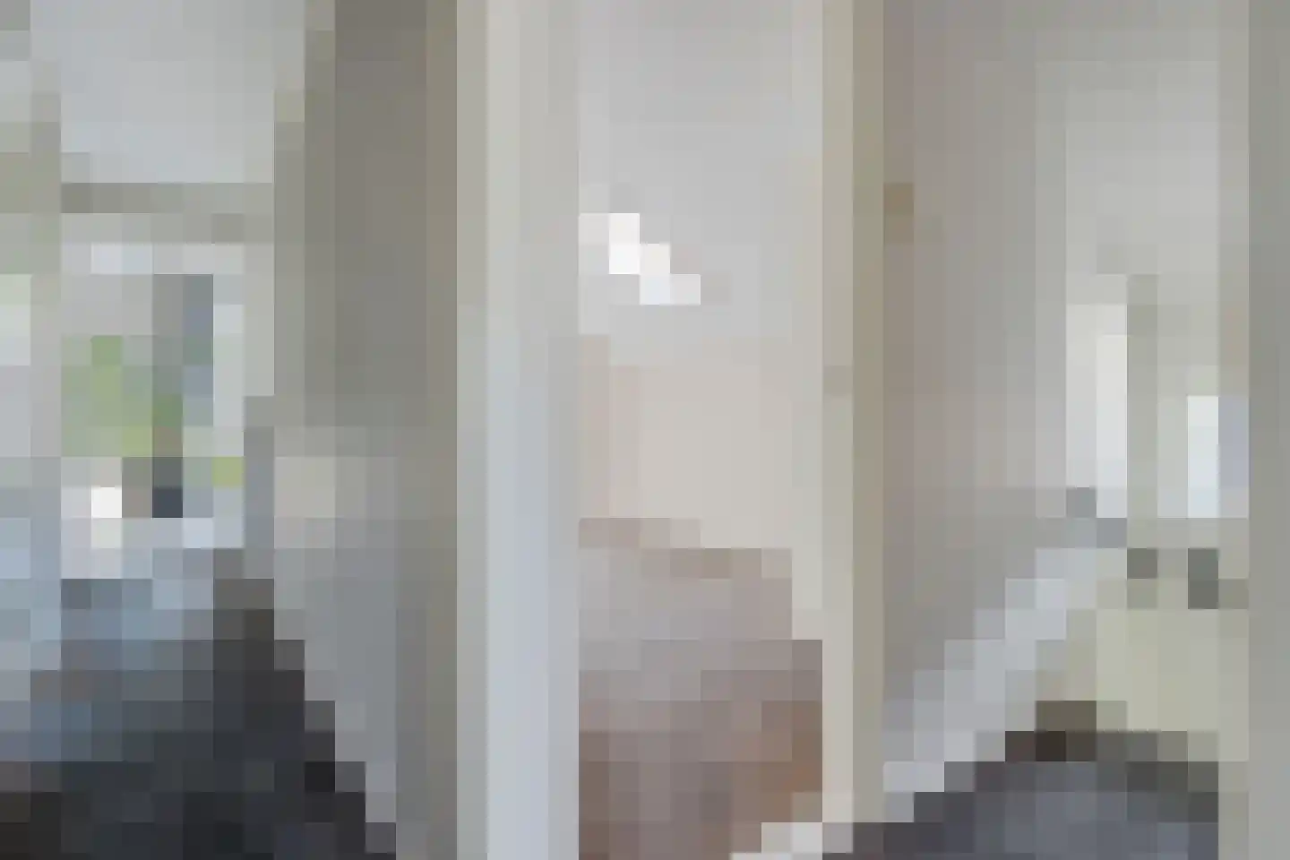 De Rusken 38 Frieschepalen thumbnail 27