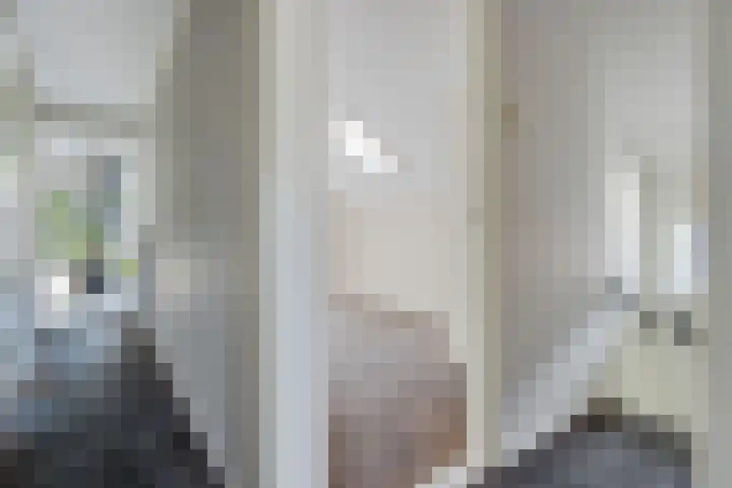 De Rusken 38 Frieschepalen thumbnail 27