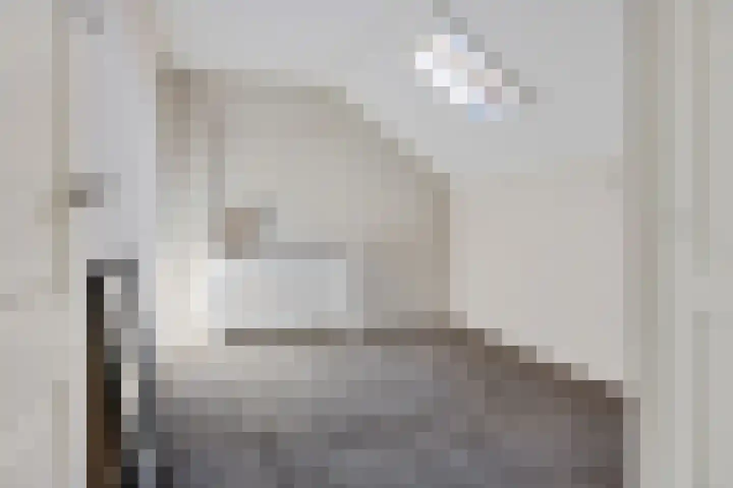 De Rusken 38 Frieschepalen thumbnail 28
