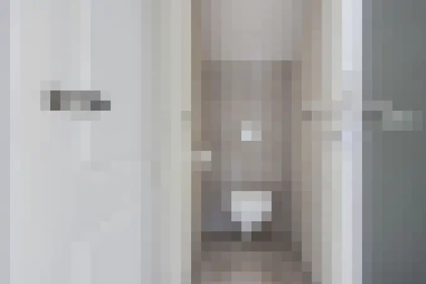 De Rusken 38 Frieschepalen thumbnail 33
