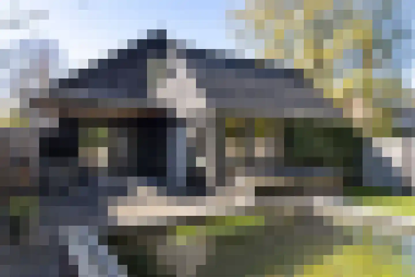 De Rusken 38 Frieschepalen thumbnail 35