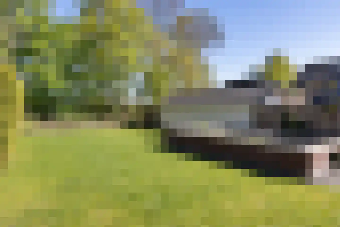 De Rusken 38 Frieschepalen thumbnail 36