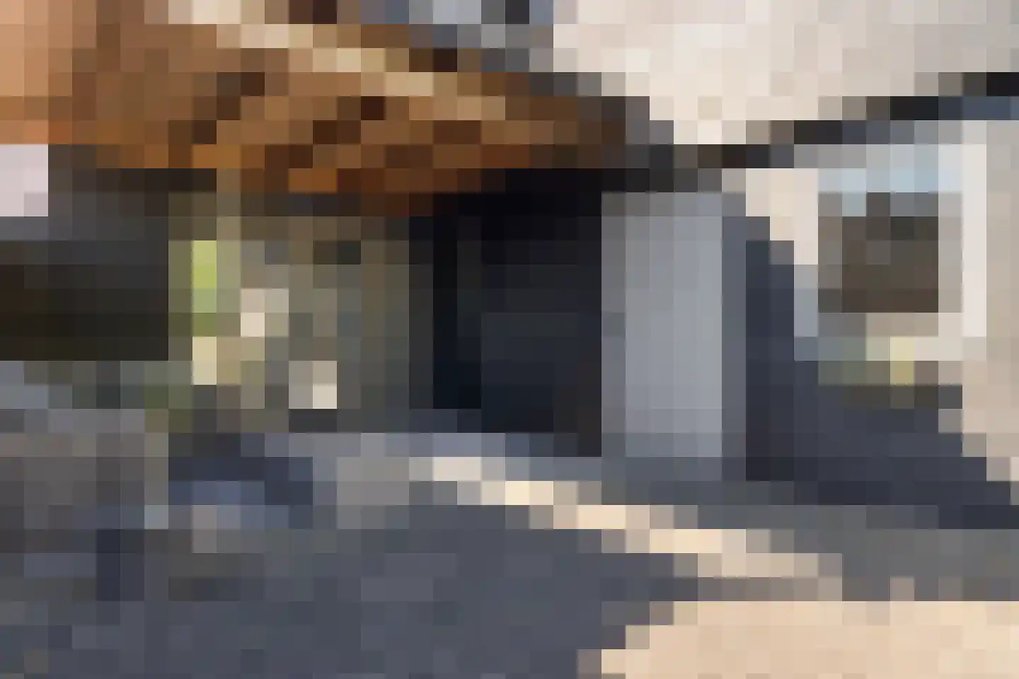De Rusken 38 Frieschepalen thumbnail 37