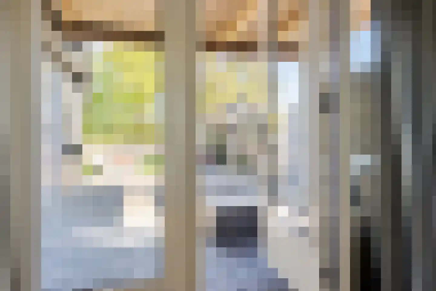 De Rusken 38 Frieschepalen thumbnail 38