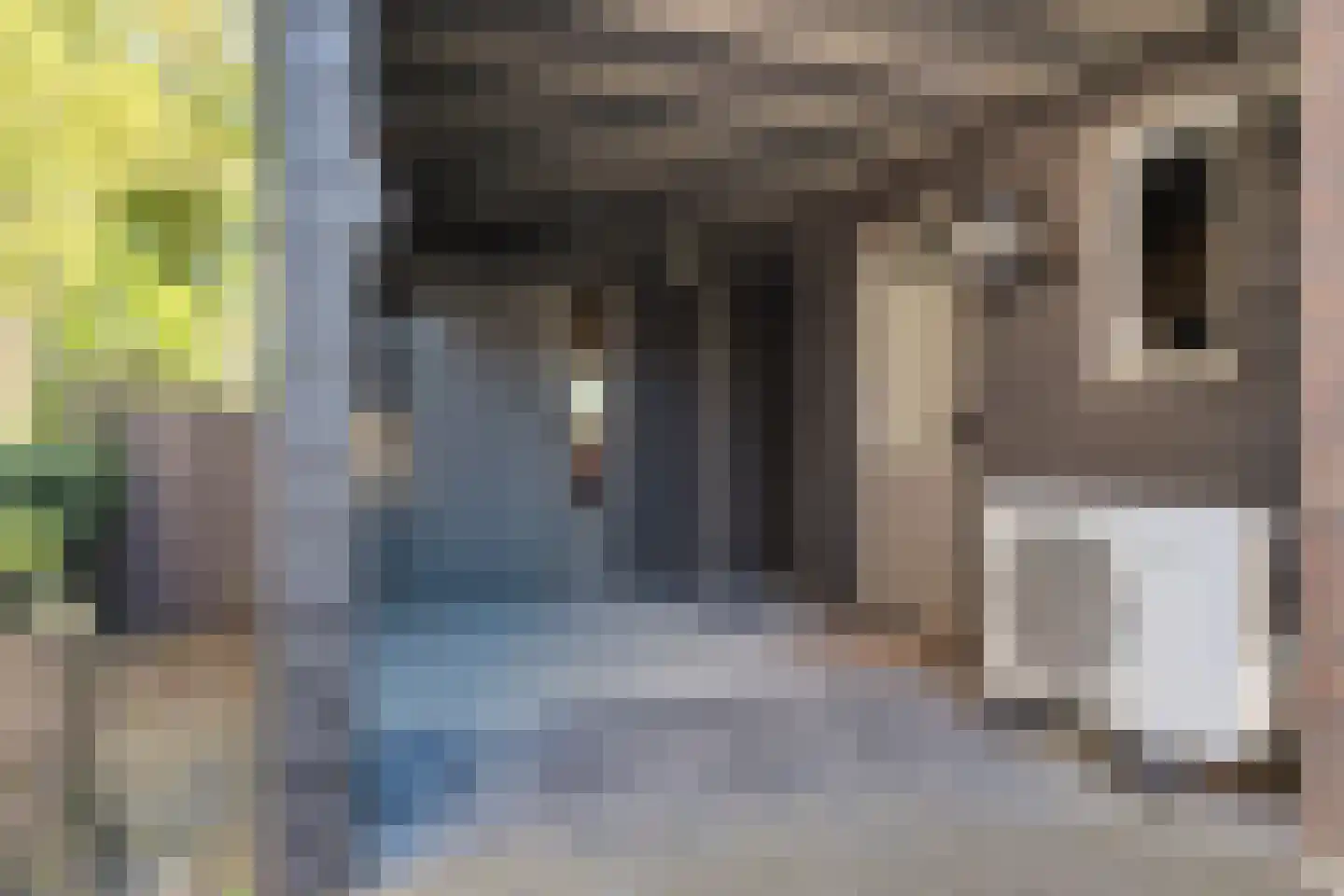 De Rusken 38 Frieschepalen thumbnail 39