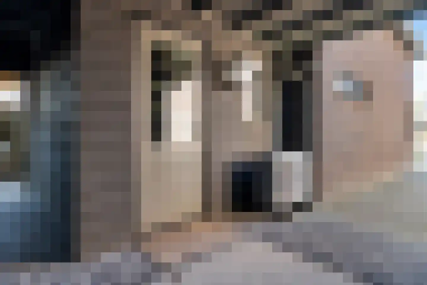 De Rusken 38 Frieschepalen thumbnail 40