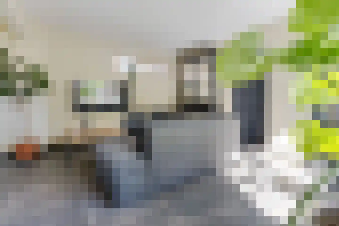 De Rusken 38 Frieschepalen thumbnail 5