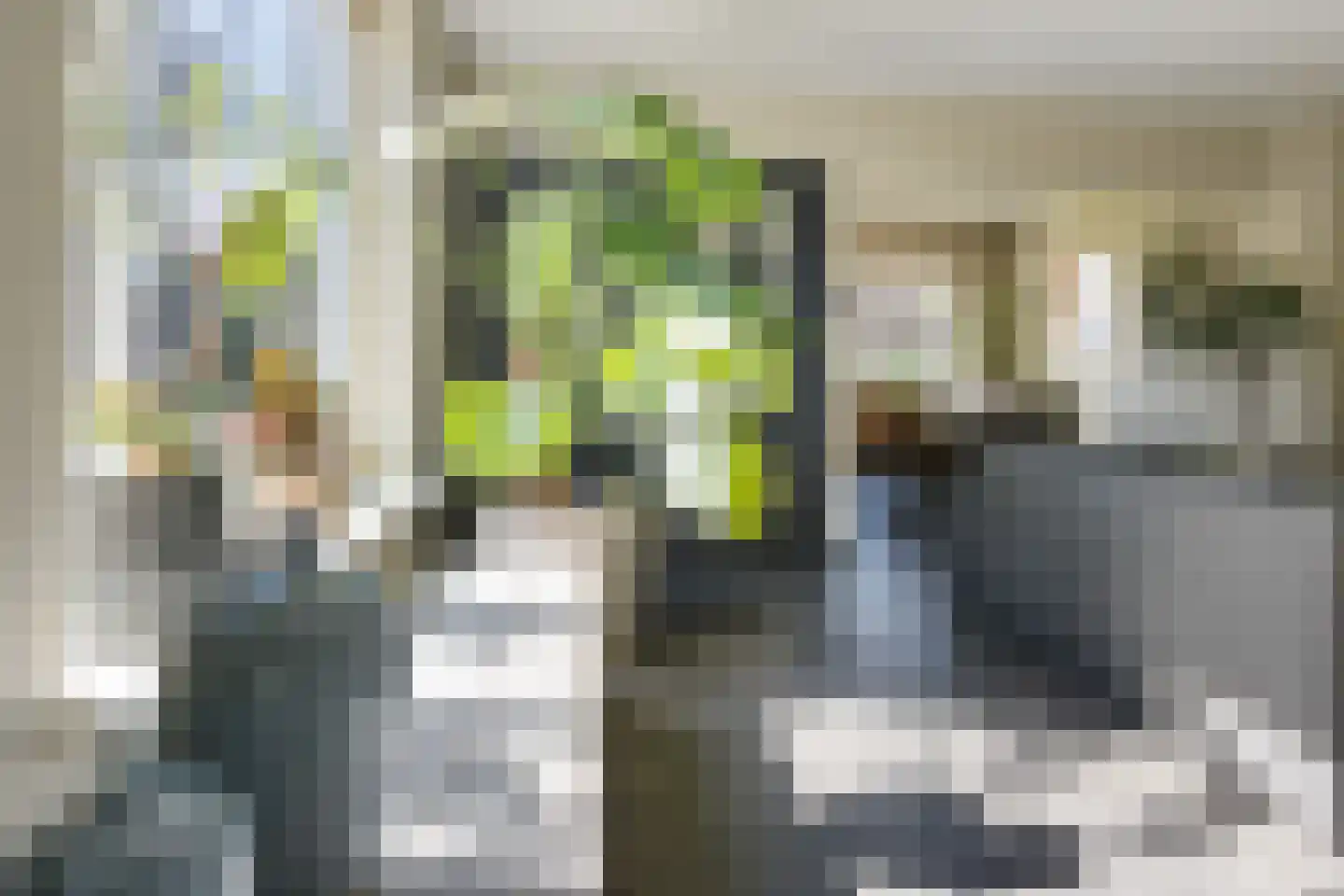 De Rusken 38 Frieschepalen thumbnail 6