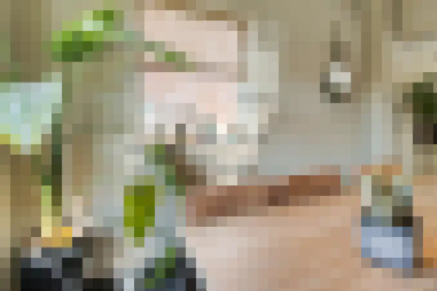 De Rusken 38 Frieschepalen thumbnail 8