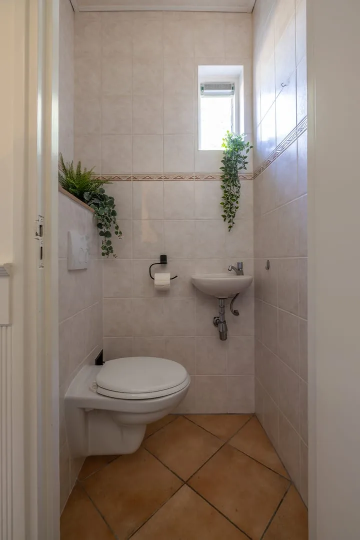 De Rusken 8 Frieschepalen thumbnail 15
