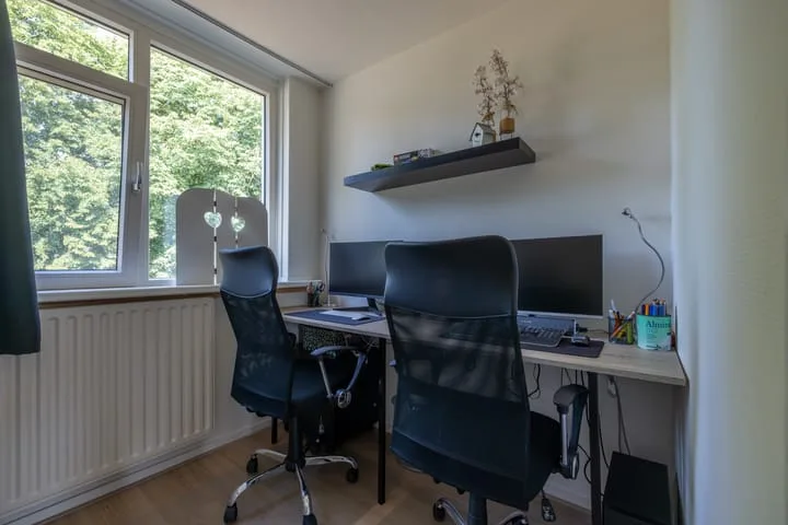 De Rusken 8 Frieschepalen thumbnail 24