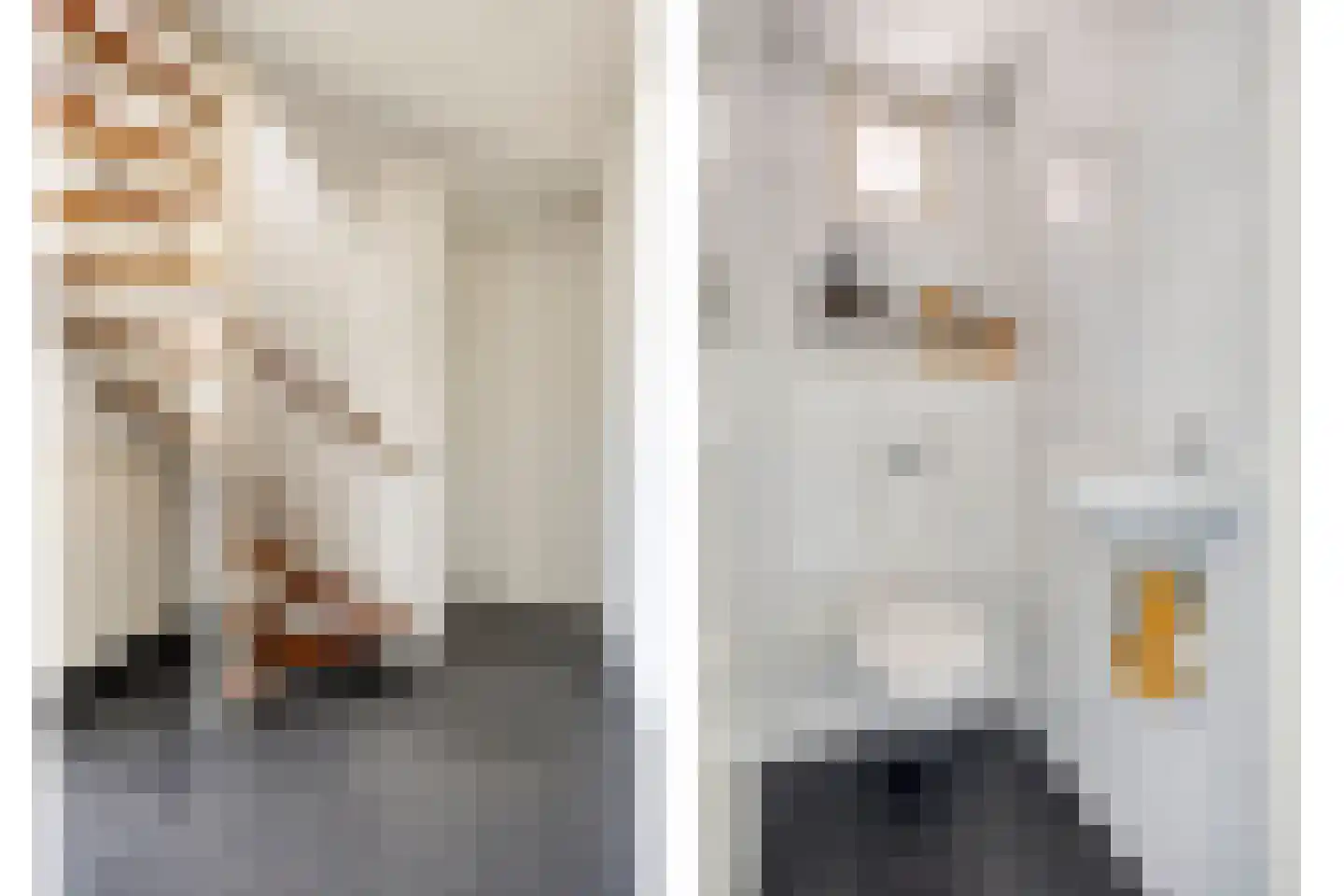 De Rutjens 20 Soerendonk thumbnail 11