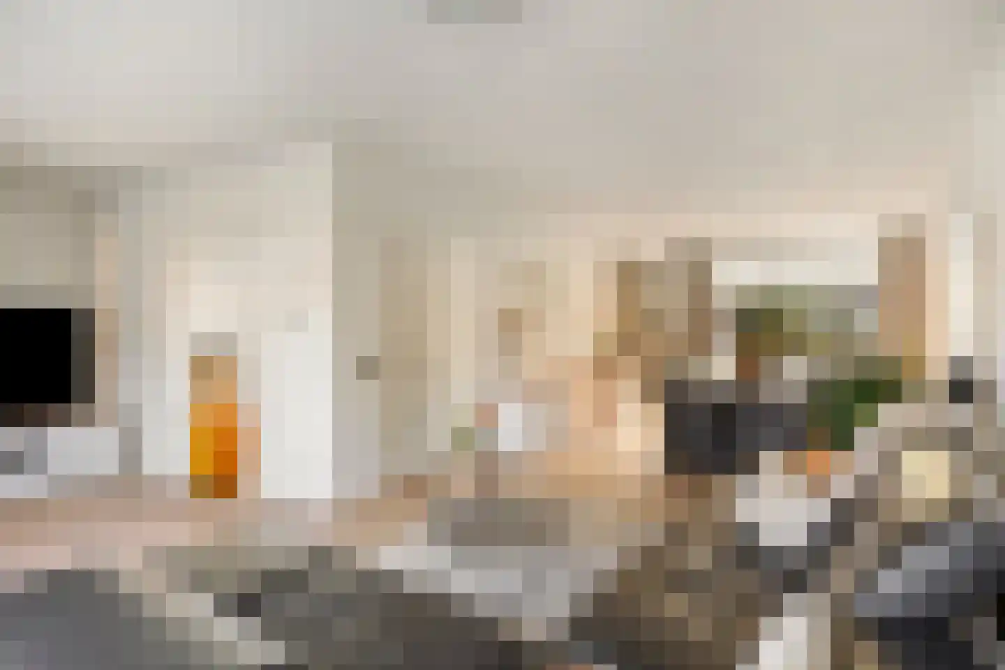 De Rutjens 20 Soerendonk thumbnail 12