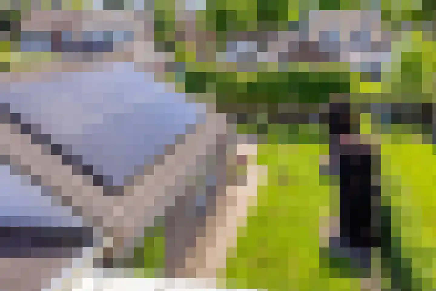 De Rutjens 20 Soerendonk thumbnail 27