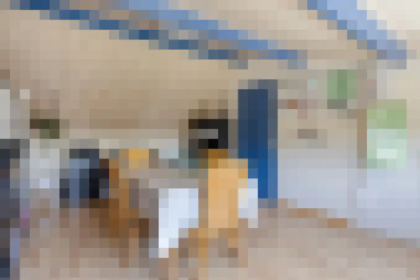 De Rutjens 20 Soerendonk thumbnail 30