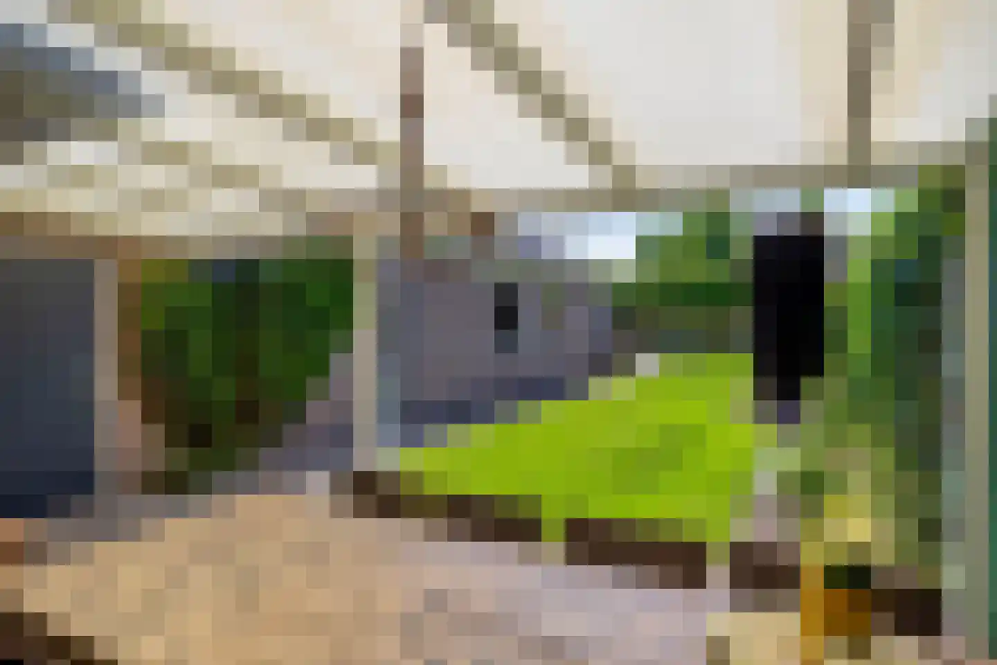 De Rutjens 20 Soerendonk thumbnail 32