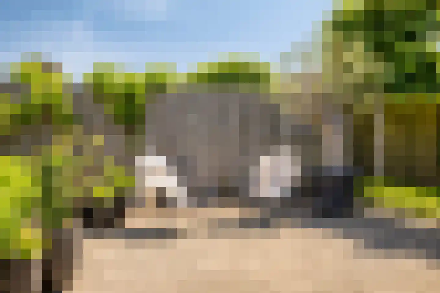 De Rutjens 20 Soerendonk thumbnail 35