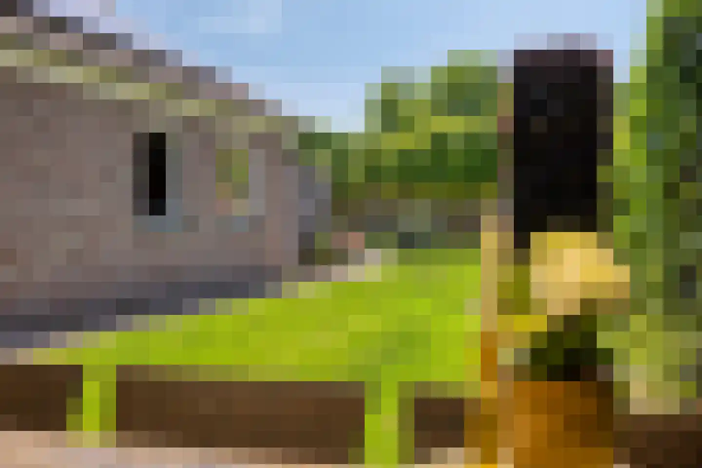 De Rutjens 20 Soerendonk thumbnail 36
