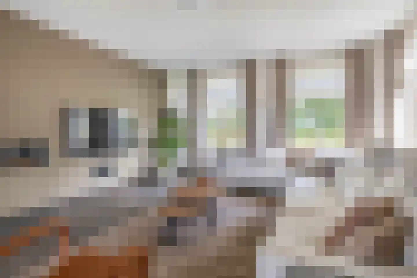 De Ruttestraat 10 Netersel thumbnail 11