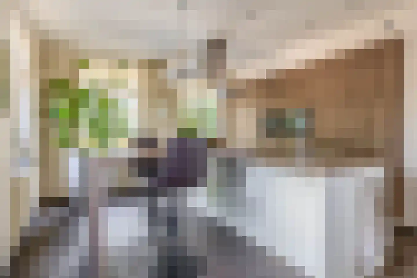 De Ruttestraat 10 Netersel thumbnail 15