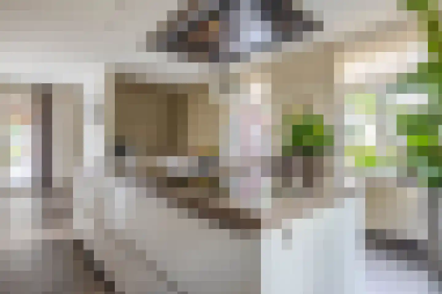 De Ruttestraat 10 Netersel thumbnail 16