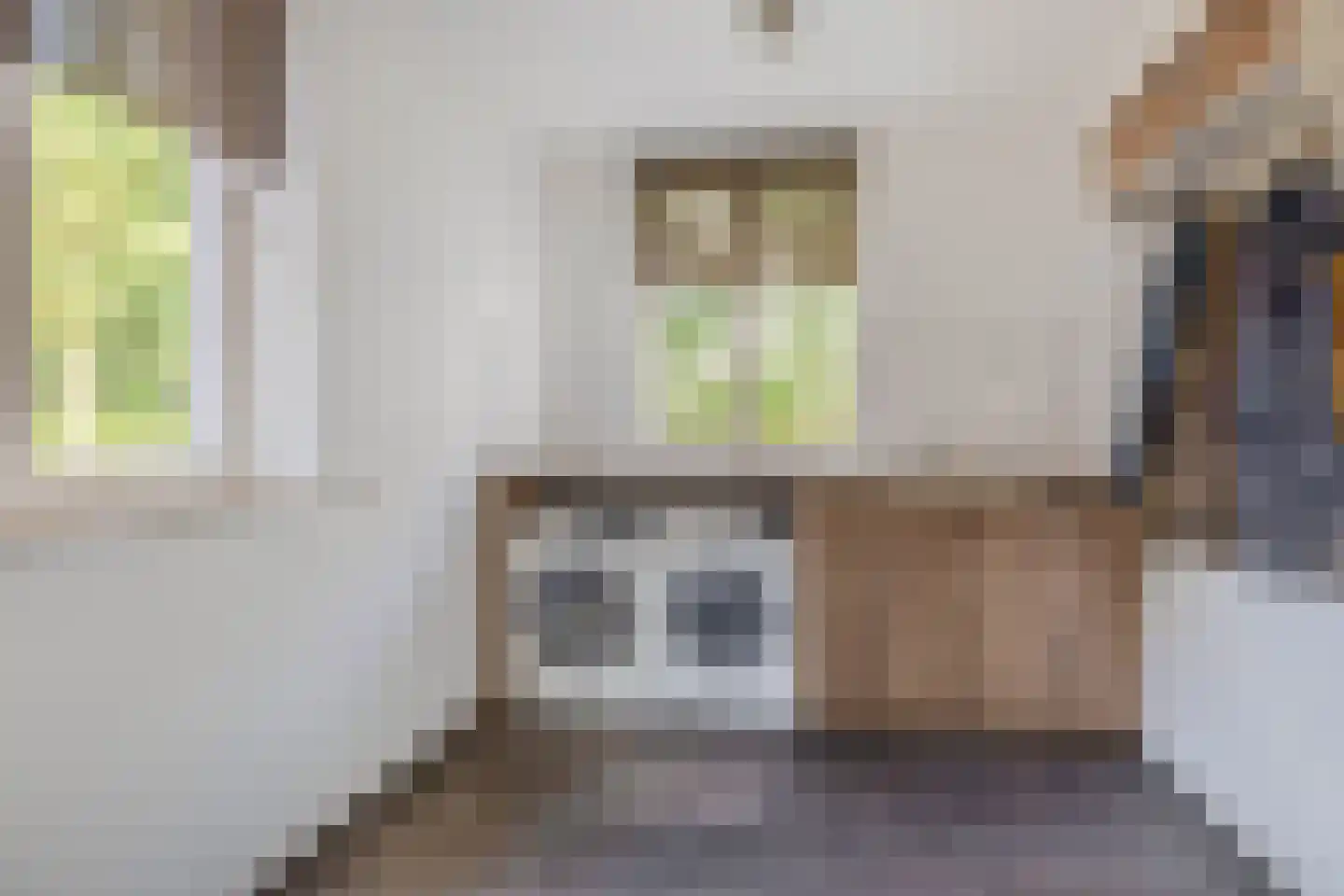 De Ruttestraat 10 Netersel thumbnail 21