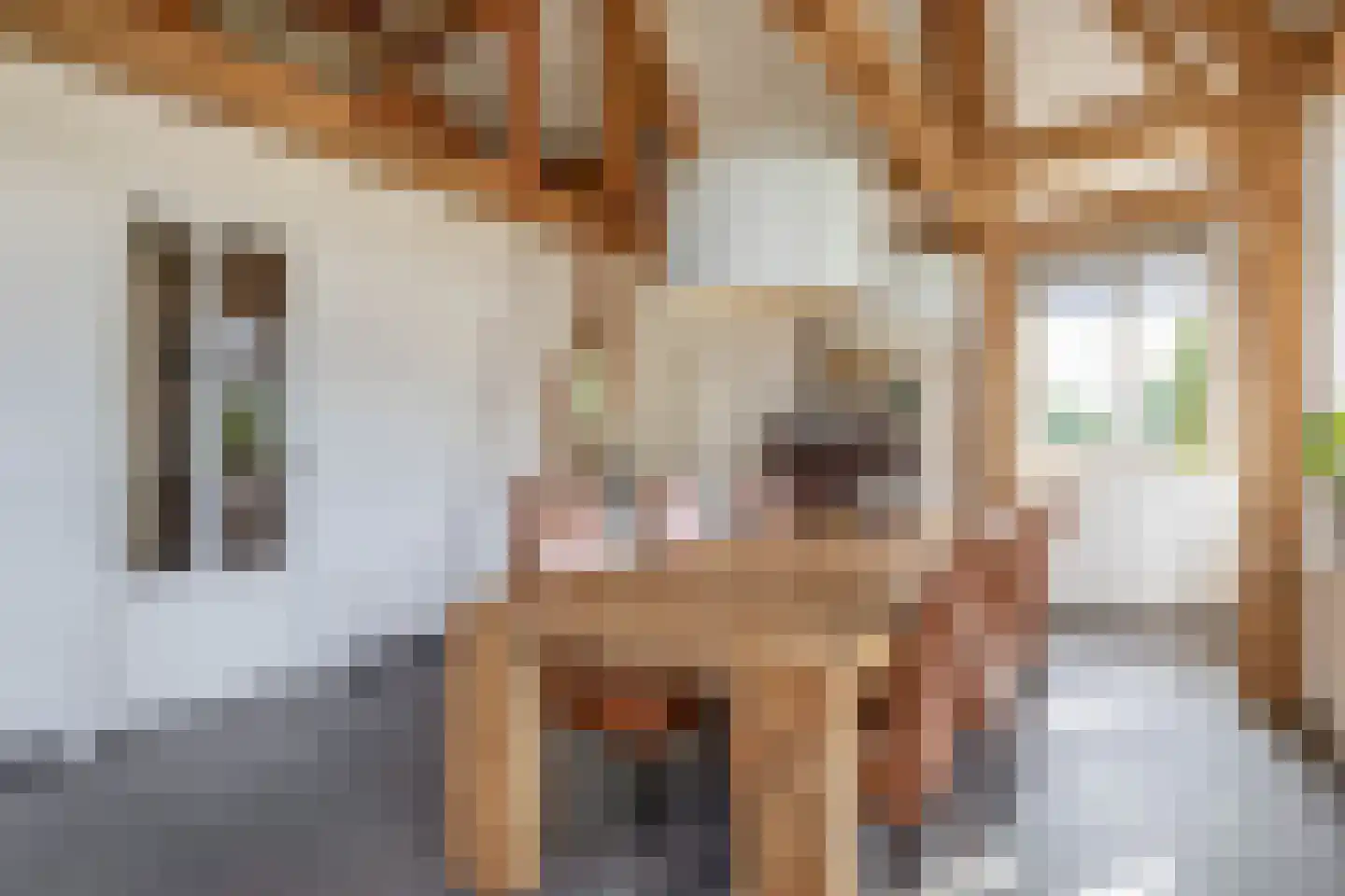 De Ruttestraat 10 Netersel thumbnail 23
