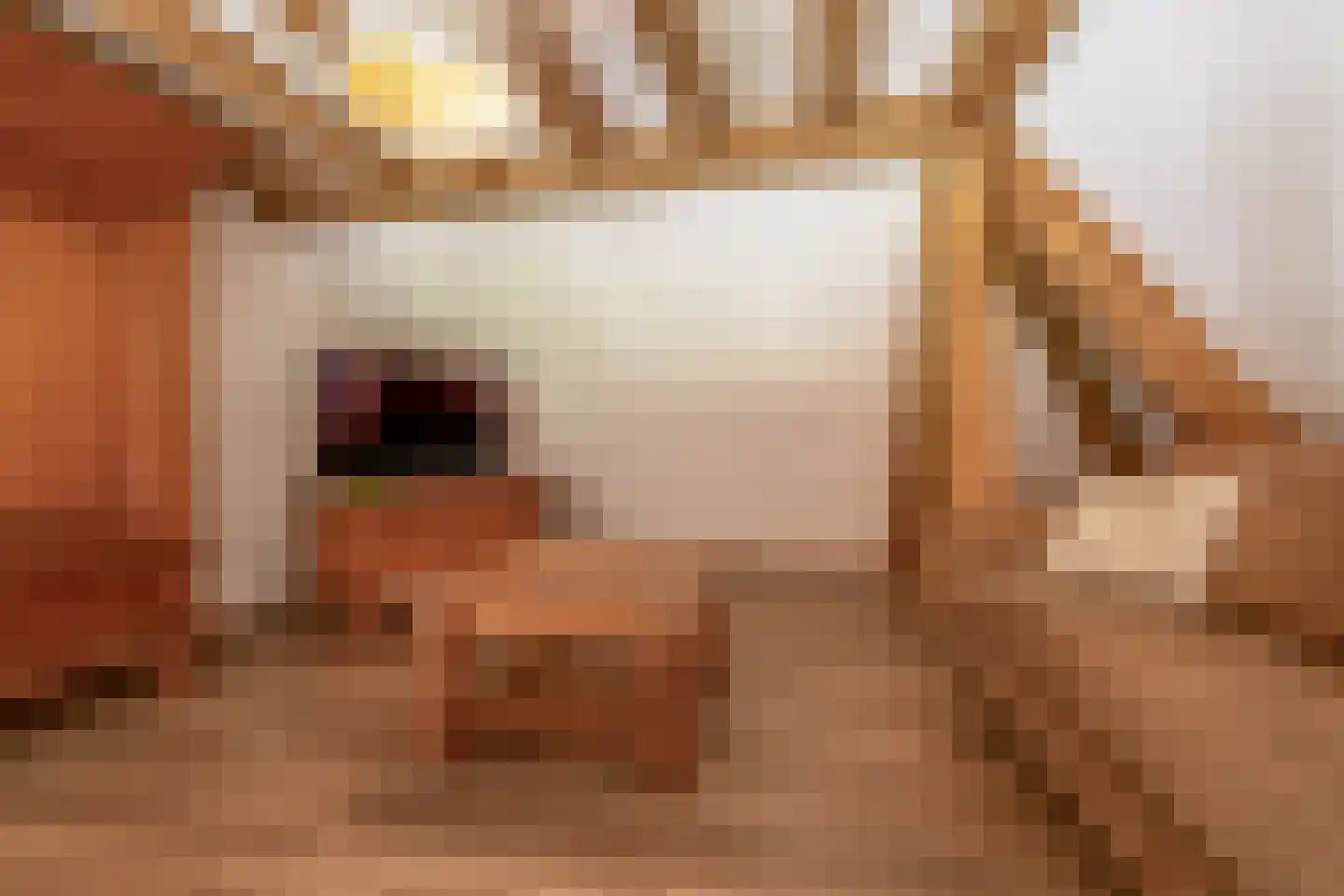 De Ruttestraat 10 Netersel thumbnail 24