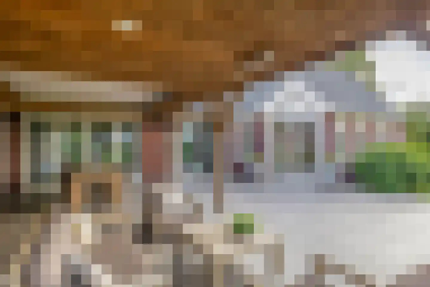 De Ruttestraat 10 Netersel thumbnail 34