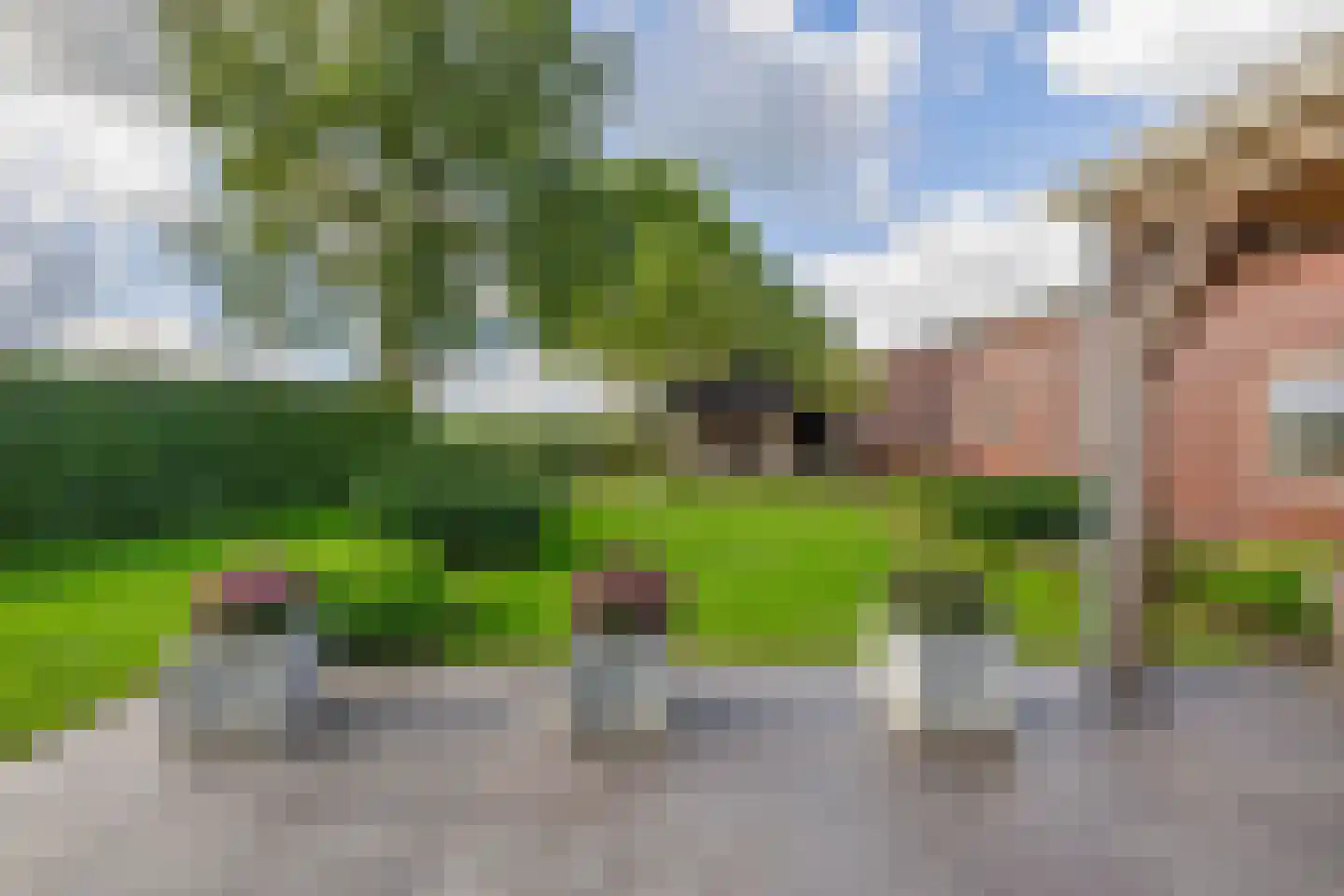De Ruttestraat 10 Netersel thumbnail 35