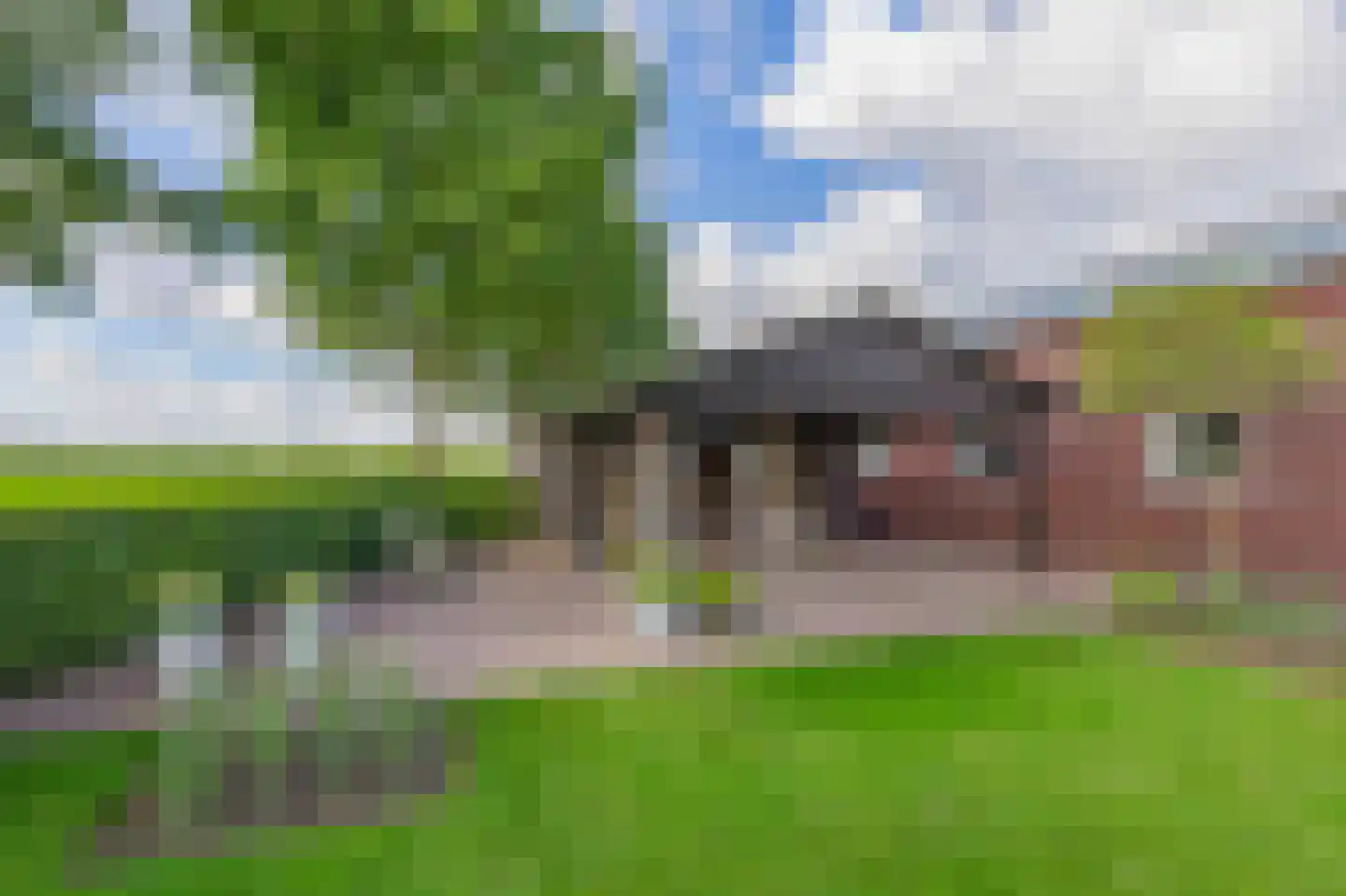 De Ruttestraat 10 Netersel thumbnail 36