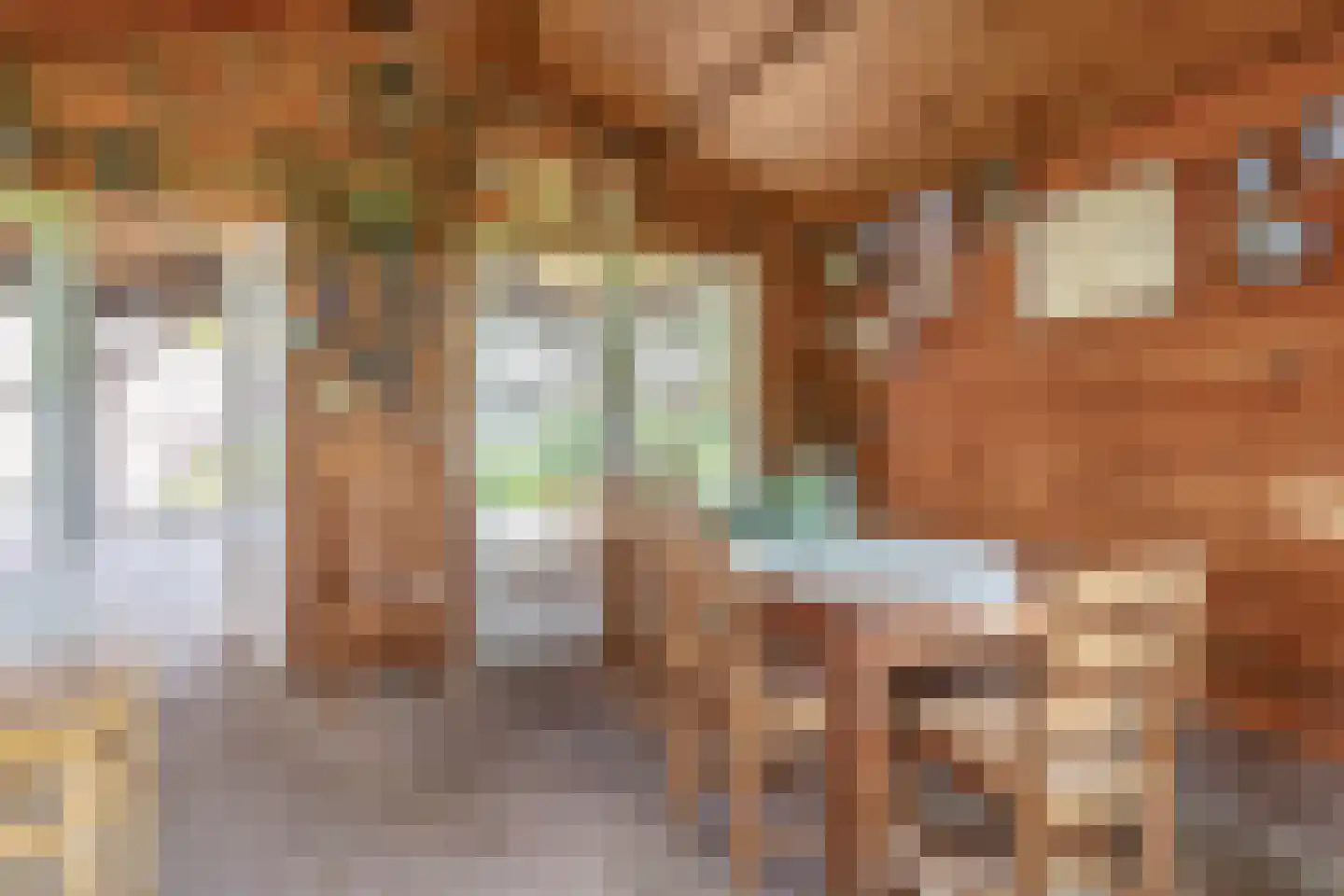 De Ruttestraat 10 Netersel thumbnail 39