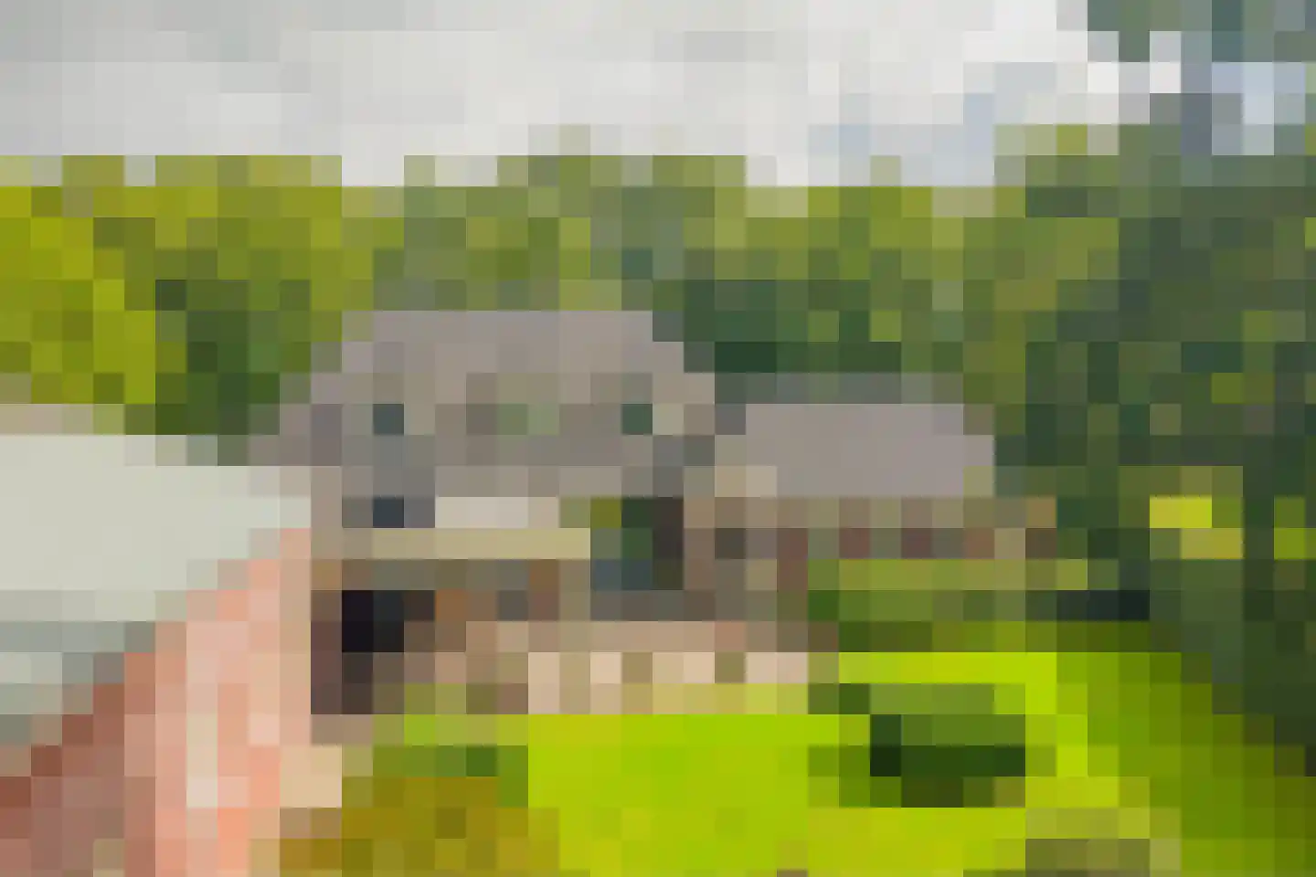 De Ruttestraat 10 Netersel thumbnail 4