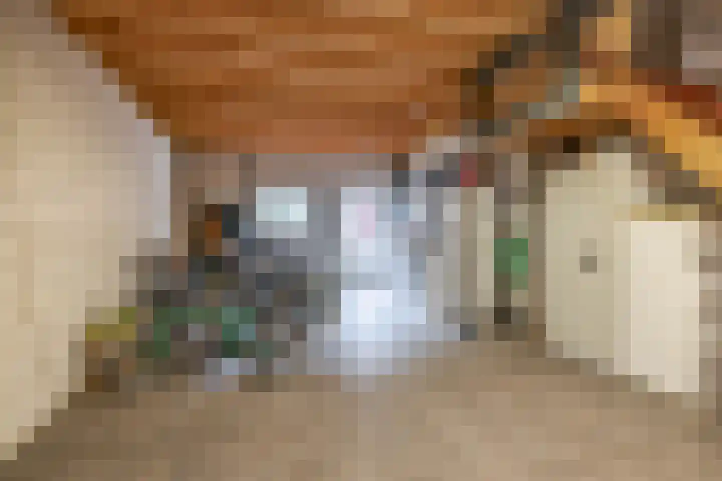 De Ruttestraat 10 Netersel thumbnail 42