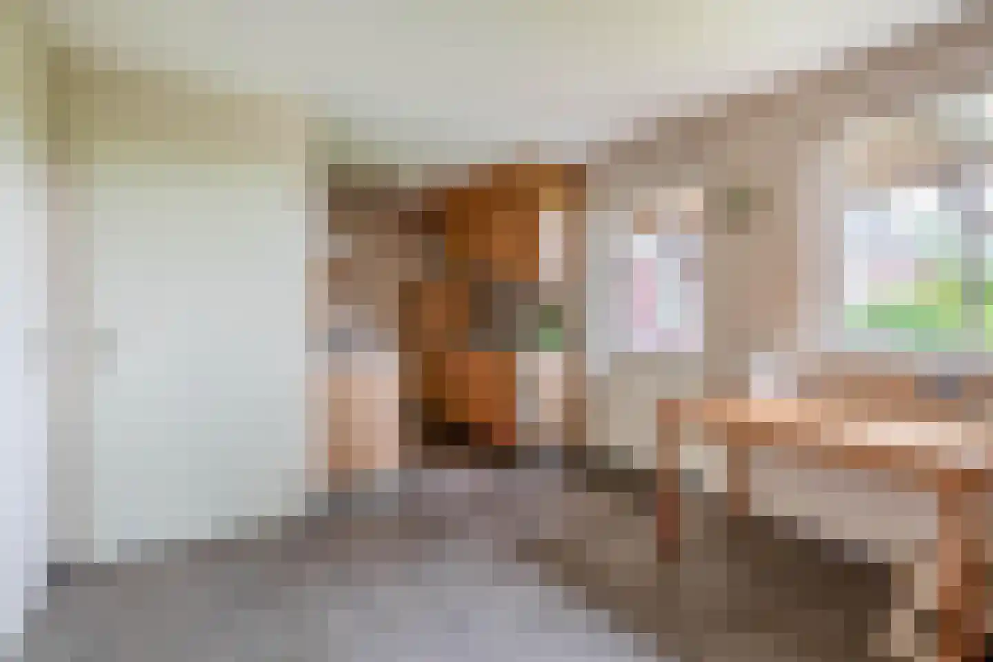 De Ruttestraat 10 Netersel thumbnail 43