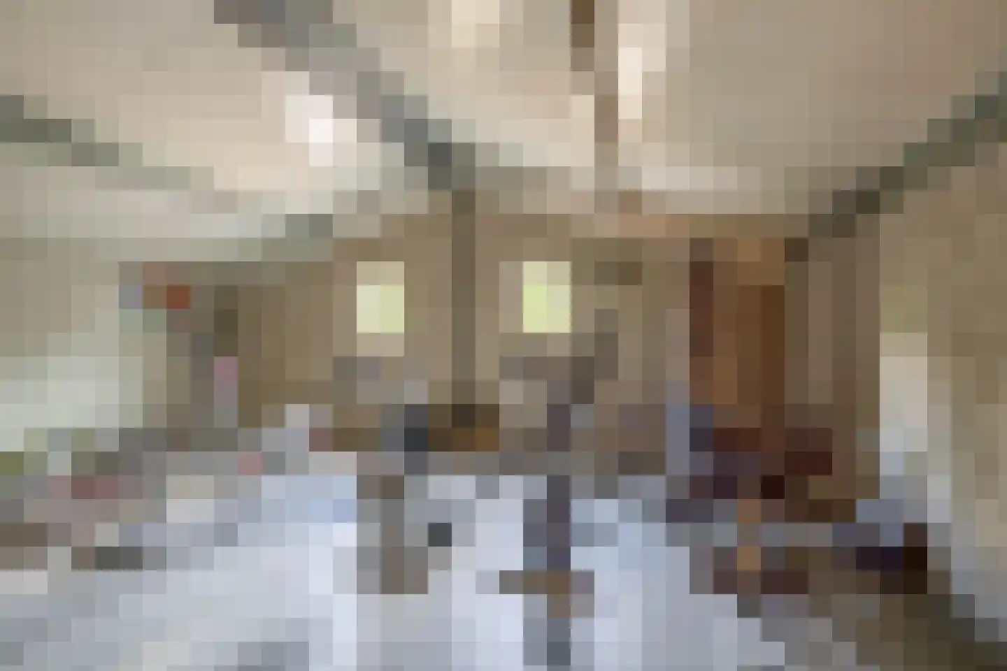 De Ruttestraat 10 Netersel thumbnail 46