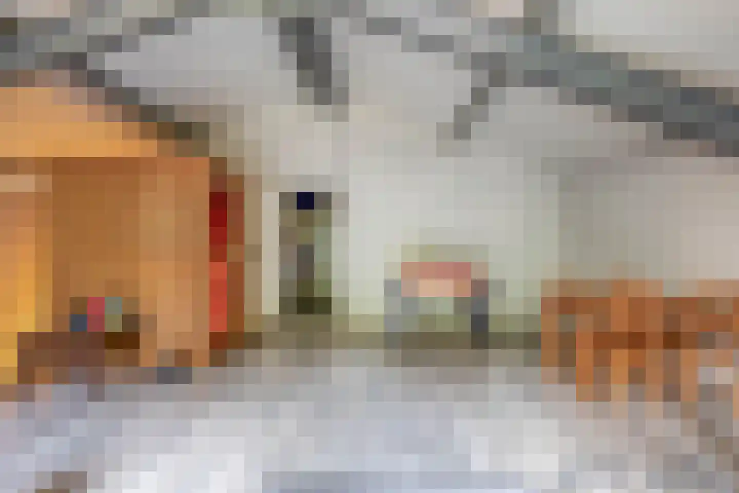 De Ruttestraat 10 Netersel thumbnail 47